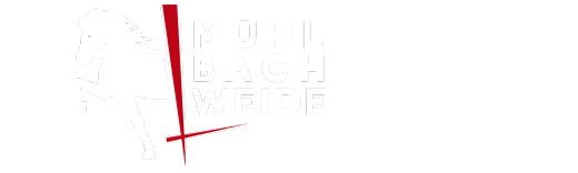 Islandpferde Mühlbachweide